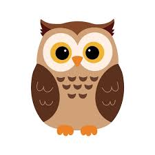 OWL Odoo v19 POS 